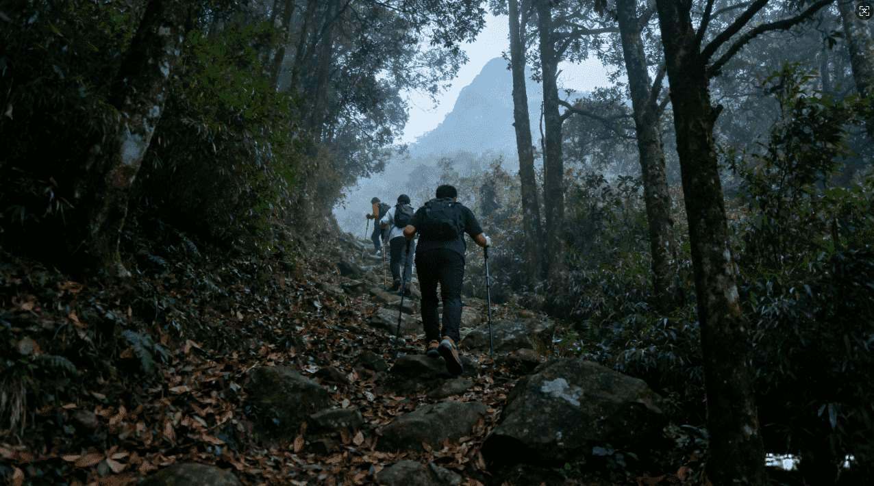 芒果加速器怎么样使用教程详解